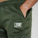 Leone Logo forma-green